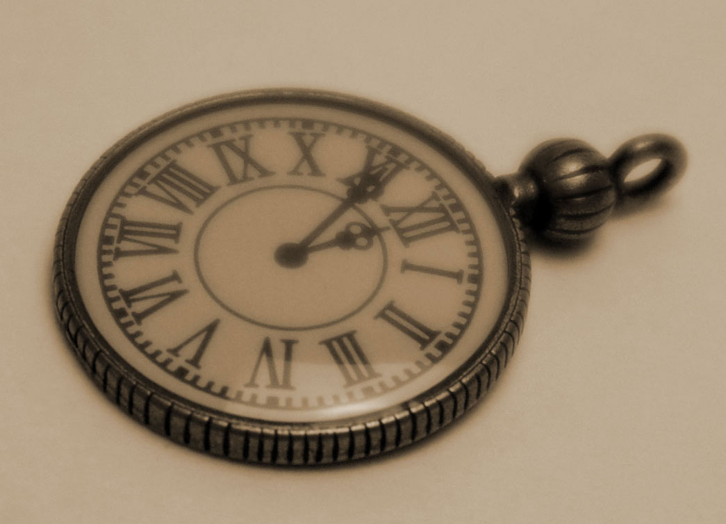 写真の説明を入れます